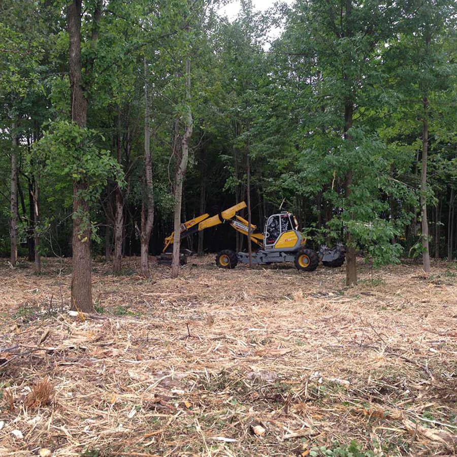Pelle araignée Menzi Muck effectuant un broyage forestier en pente raide à Mont-Tremblant