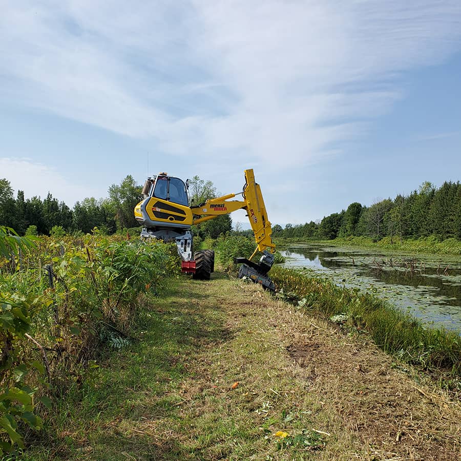 Déboisement chirurgical sur paroi rocheuse et granite humide dans les Laurentides
