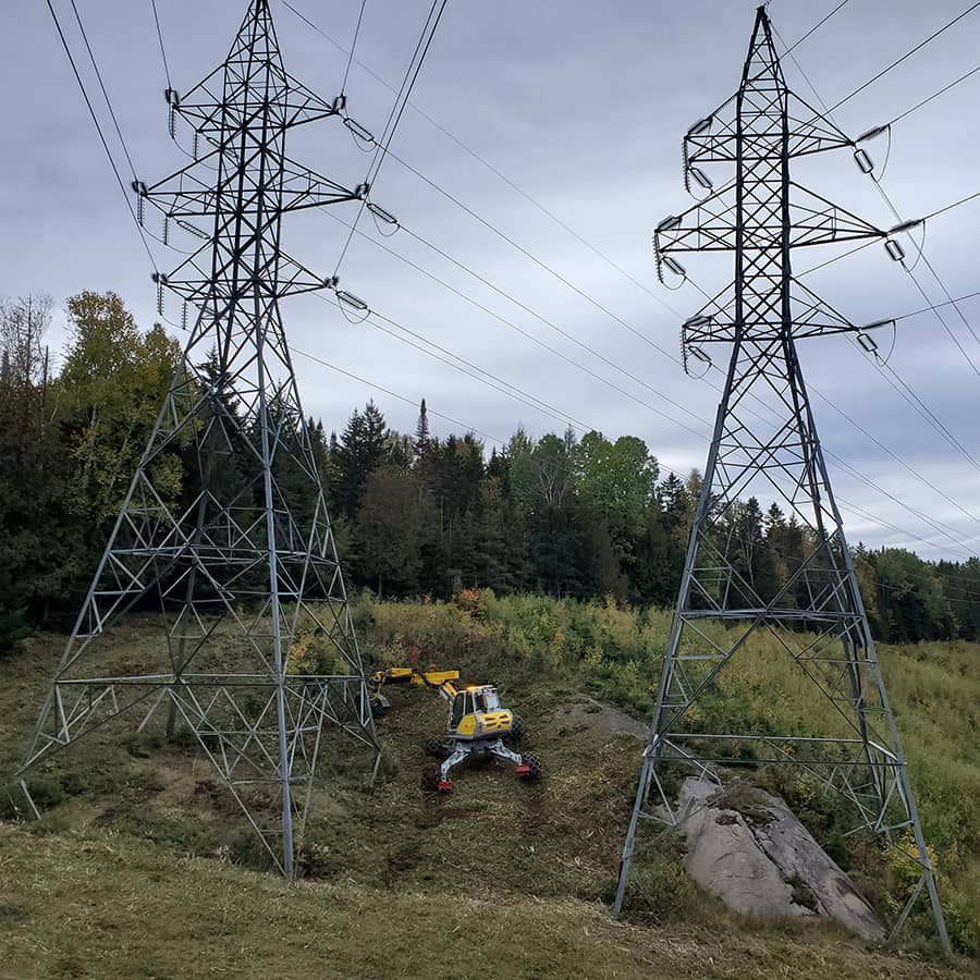 Éclaircie forestière et dégagement de vue panoramique pour chalet alpin à Mont-Tremblant